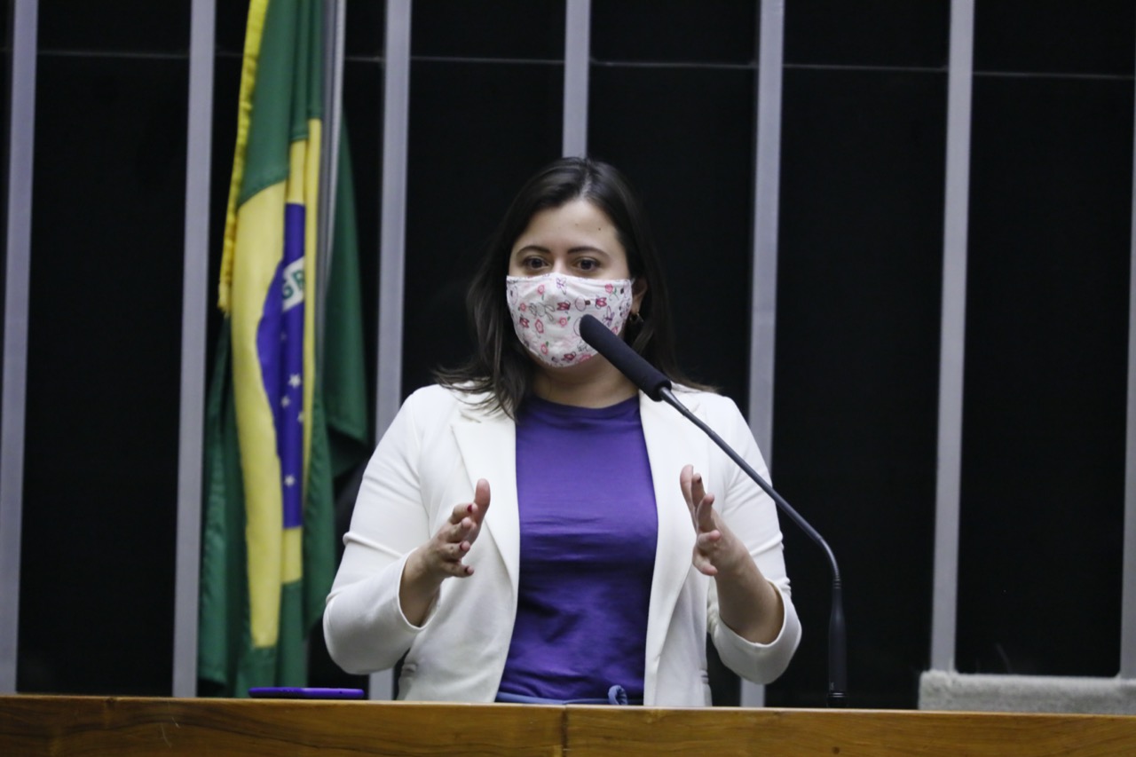 Sâmia e PSOL cobram explicações do GSI sobre interferência do governo no caso Flávio Bolsonaro