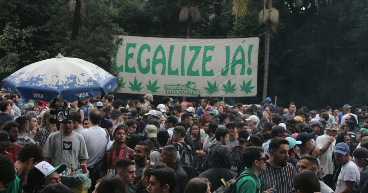 Sâmia cobra cumprimento de instauração de Comissão Especial para análise do PL que trata da legalização da maconha